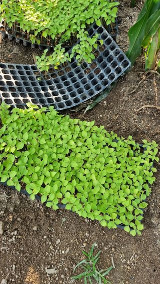 최언봉님의 자유주제 · 자유게시판 작성글 사진