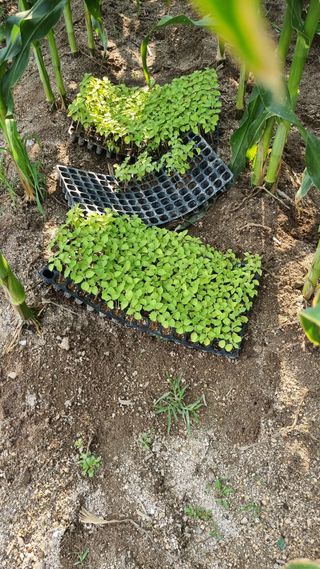 최언봉님의 자유주제 · 자유게시판 작성글 사진