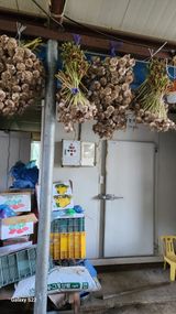 팜모닝 마늘·영농일지 게시글 이미지