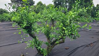 노창래님의 자유주제 · 자유게시판 작성글 사진