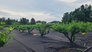 노창래님의 자유주제 · 자유게시판 작성글 사진