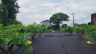 노창래님의 자유주제 · 자유게시판 작성글 사진