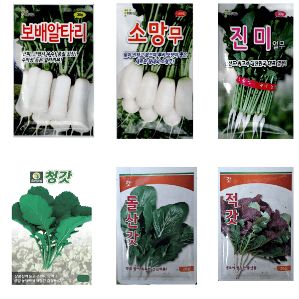 대산농사대장님의 장터 판매 상품 [2025년 인기 가을김장무 ] 첨부 사진