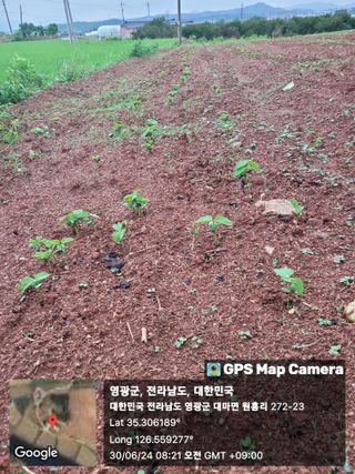 김동제님의 👩🏻‍🌾7월 농작업 계획 · 참여글 작성글 사진