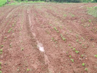 김동제님의 👩🏻‍🌾7월 농작업 계획 · 참여글 작성글 사진