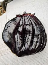 팜모닝 자유주제·자유게시판 게시글 이미지