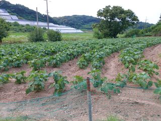 박은선 님의 자유주제 · 사진전 작성글 사진
