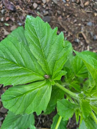 farmer님의 자유주제 · 자유게시판 작성글 사진
