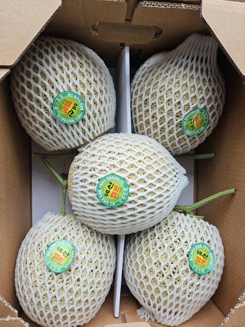 장터 상품 [메론 [8kg 5수로 드려요]7월 판매중[품절]] 썸네일