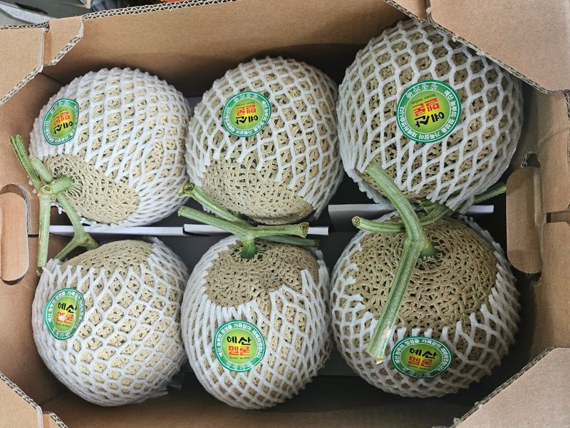 엄마와딸농장님의 장터 판매 상품 [메론 [8kg 5수로 드려요]7월 판매중[품절]] 첨부 사진