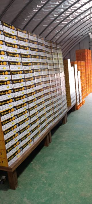 강성분님의 👩🏻‍🌾7월 농작업 계획 · 참여글 작성글 사진