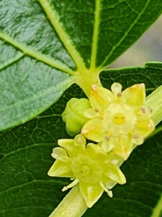 이덕수님의 자유주제 · 자유게시판 작성글 사진