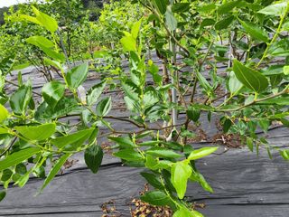 이덕수님의 자유주제 · 자유게시판 작성글 사진