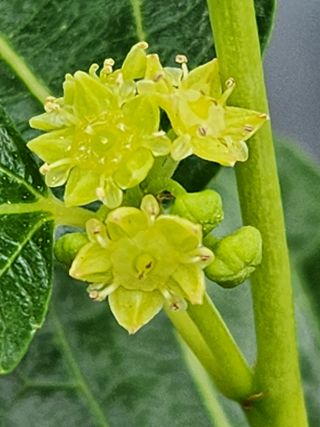 이덕수님의 자유주제 · 자유게시판 작성글 사진