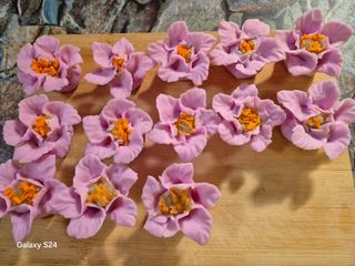 김정술님의 자유주제 · 자유게시판 작성글 사진