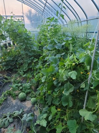 남궁. 정님의 자유주제 · 자유게시판 작성글 사진