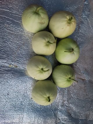 남궁. 정님의 자유주제 · 자유게시판 작성글 사진