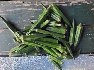 남궁. 정님의 자유주제 · 자유게시판 작성글 사진