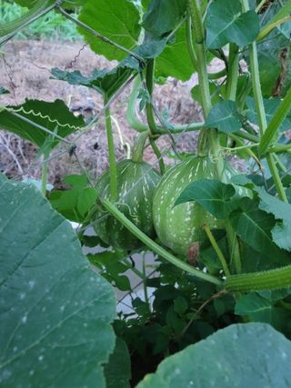남궁. 정님의 자유주제 · 자유게시판 작성글 사진