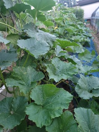 남궁. 정님의 자유주제 · 자유게시판 작성글 사진