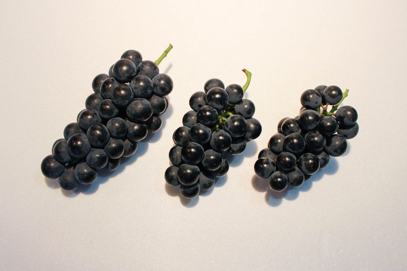 흥부골포도님의 장터 판매 상품 [[GAP]충랑 씨없는흑포도 2kg(특,상,보통)] 첨부 사진