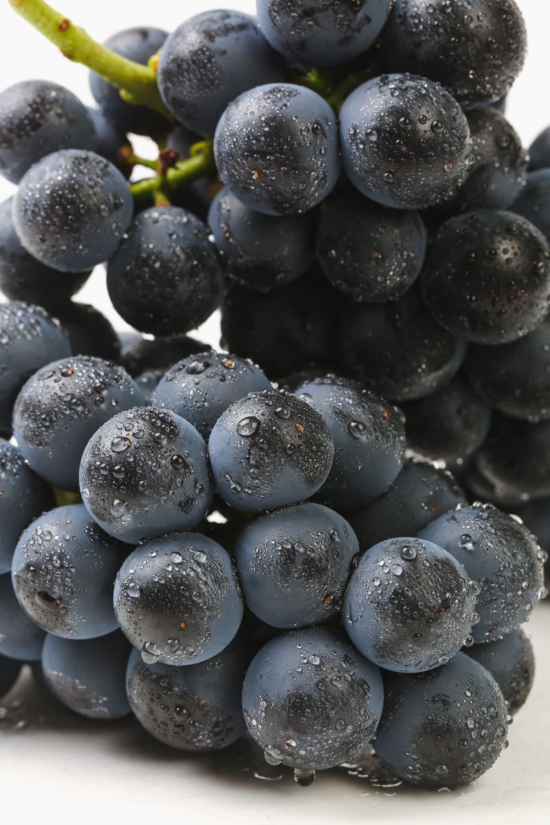 흥부골포도님의 장터 판매 상품 [[GAP]충랑 씨없는흑포도 2kg(특,상,보통)] 첨부 사진