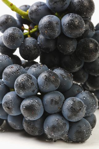 흥부골포도님의 작성글 사진