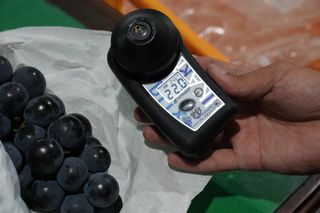 흥부골포도님의 작성글 사진