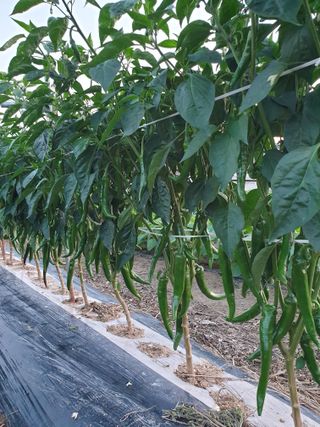 양파5749님의 자유주제 · 자유게시판 작성글 사진