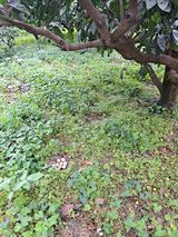 팜모닝 자유주제·자유게시판 게시글 이미지