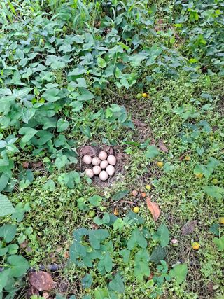 금석송님의 자유주제 · 자유게시판 작성글 사진