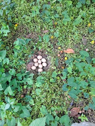 금석송님의 자유주제 · 자유게시판 작성글 사진