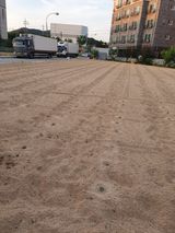 팜모닝 콩·영농일지 게시글 이미지