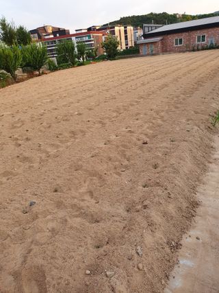 임종옥(용인백암)님의 콩 · 영농일지 작성글 사진