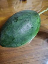 팜모닝 자유주제·자유게시판 게시글 이미지