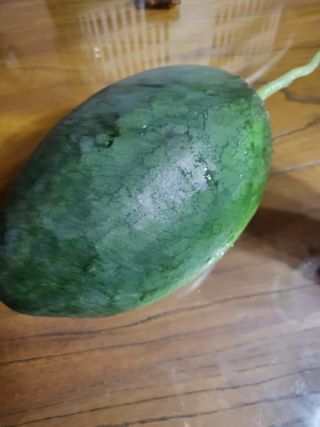 대운이네농원님의 자유주제 · 자유게시판 작성글 사진