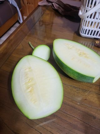 대운이네농원님의 자유주제 · 자유게시판 작성글 사진