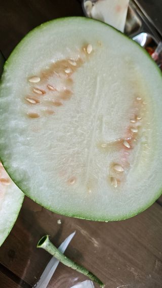 영이님의 자유주제 · 자유게시판 작성글 사진