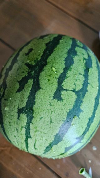 영이님의 자유주제 · 자유게시판 작성글 사진