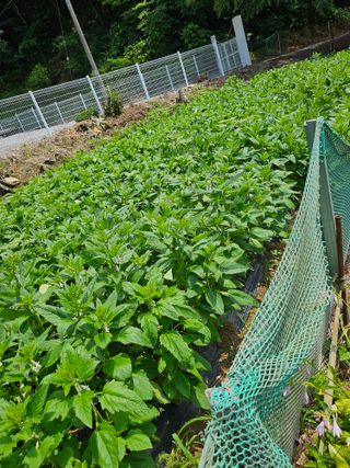 유진식님의 자유주제 · 자유게시판 작성글 사진