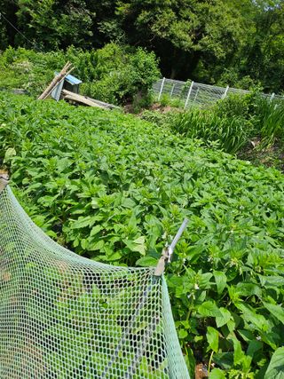 유진식님의 자유주제 · 자유게시판 작성글 사진