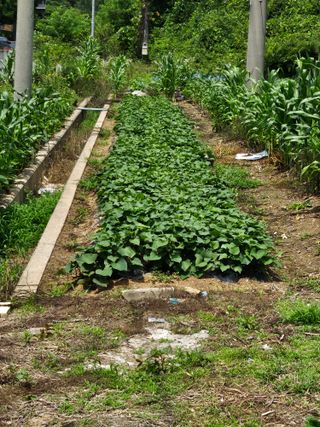 유진식님의 자유주제 · 자유게시판 작성글 사진