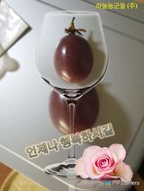 팜모닝 팜모닝·출석 게시글 이미지