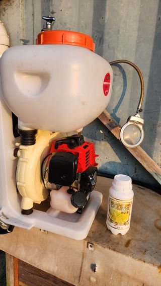 민완식님의 고구마 · 영농일지 작성글 사진