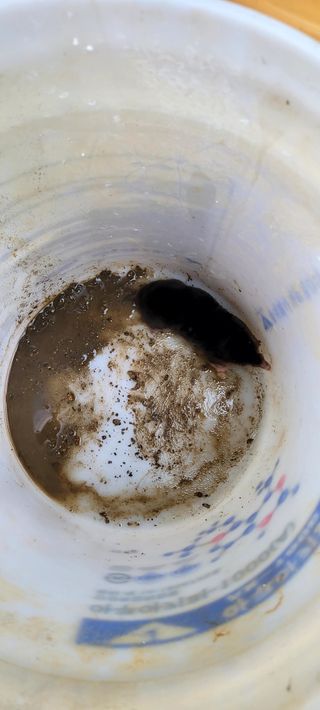 서대산향수님의 자유주제 · 자유게시판 작성글 사진