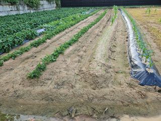 김시현 님의 자유주제 · 자유게시판 작성글 사진