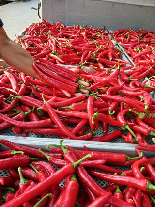 삼부자님의 자유주제 · 자유게시판 작성글 사진