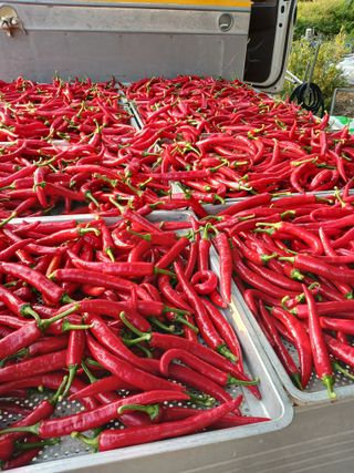 삼부자님의 자유주제 · 자유게시판 작성글 사진