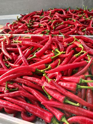 삼부자님의 자유주제 · 자유게시판 작성글 사진