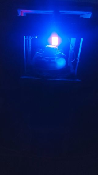 둥이농장(김준태)님의 고추 · 일상 작성글 사진